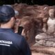 Peneliti temukan arca Buddha abad ke-7 pada Laman Bukit Choras, Kedah