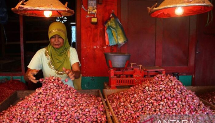 Pusat Kota Malang deflasi 0,36 persen didorong penurunan nilai bawang merah