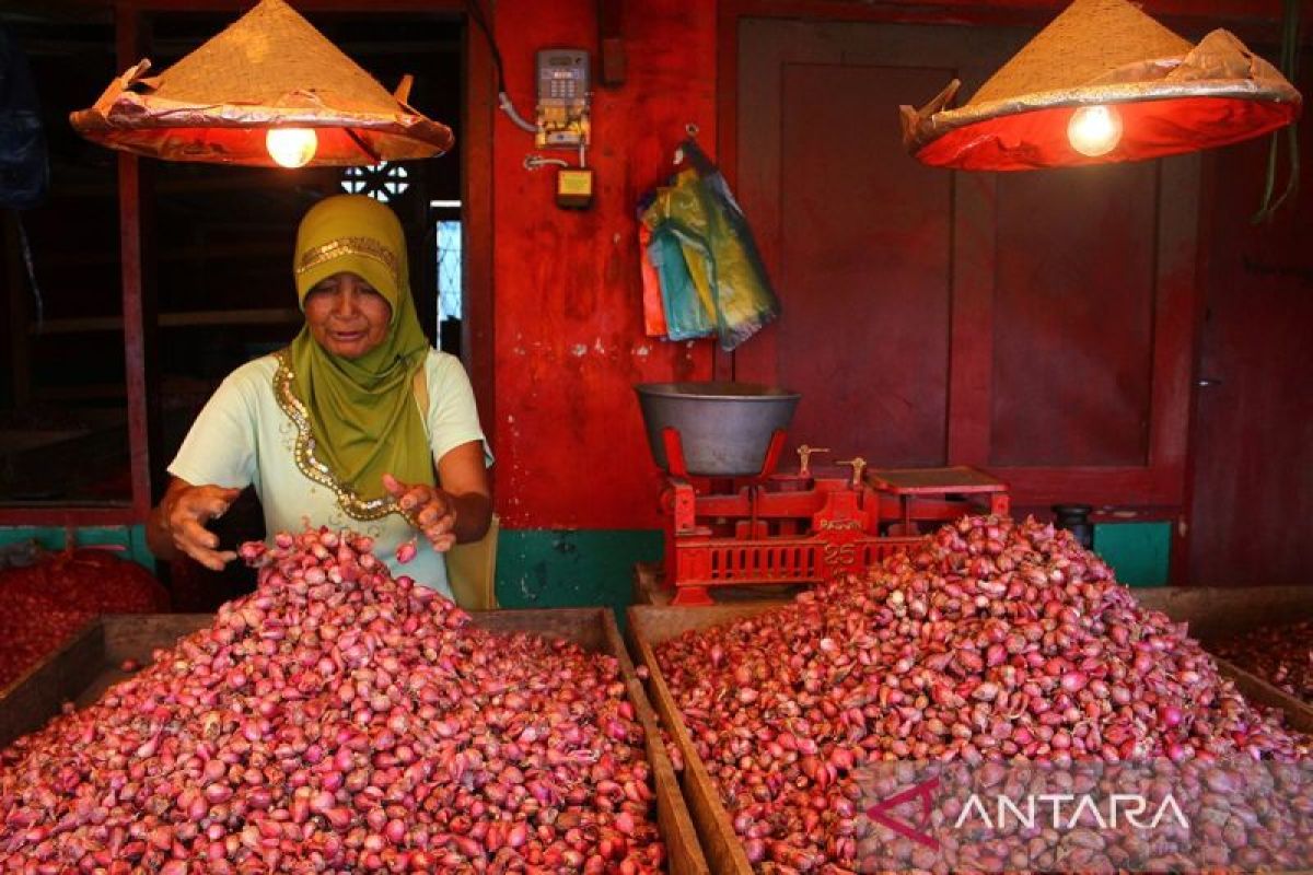 Pusat Perkotaan Malang deflasi 0,36 persen didorong penurunan nilai bawang merah