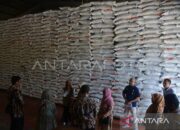 BPS sebut beras masih jadi penyumbang tertinggi naiknya harga Aceh pada Juni